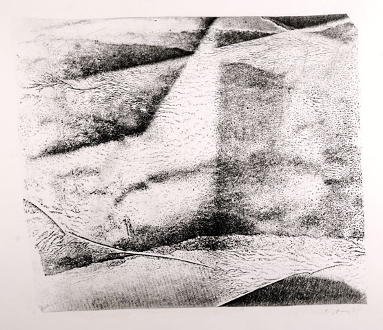 1. 2010 20 x 24 cm .jpg