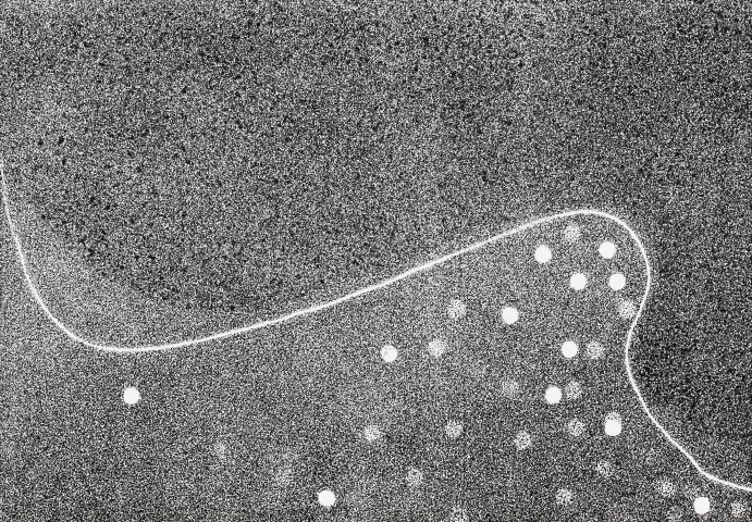 1. 2016 27 x 18,5 cm.jpg