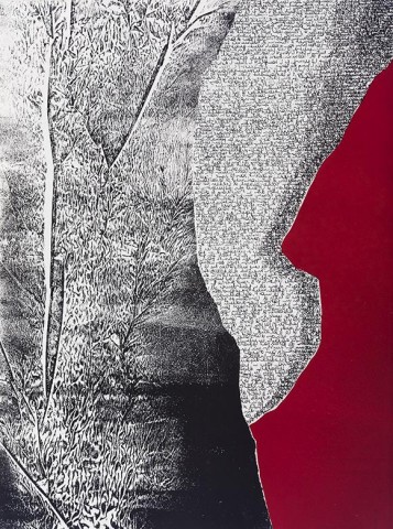 10. 2015 38 x 28 cm.jpg