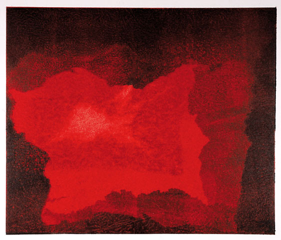 11. 2008 monotype 15,9 x 18,8 cm.jpg