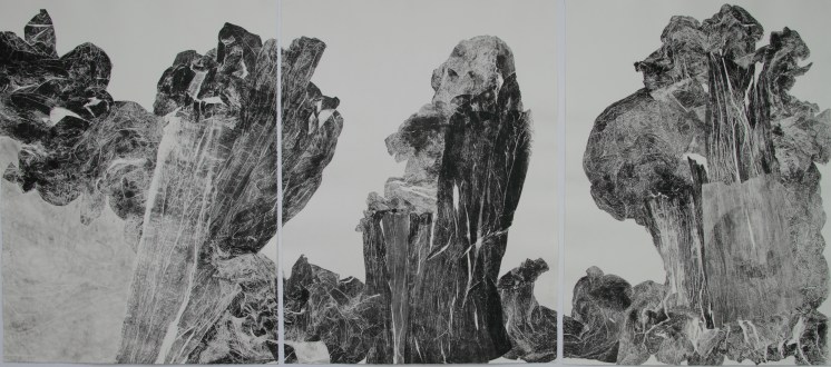 13. 2011 64,6 x 47,7 cm - 64,6 x 47,5 cm - 64,6 x 47,6 cm triptyque .JPG