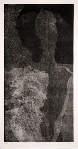 2. 2009 48,5 x 24,7.jpg