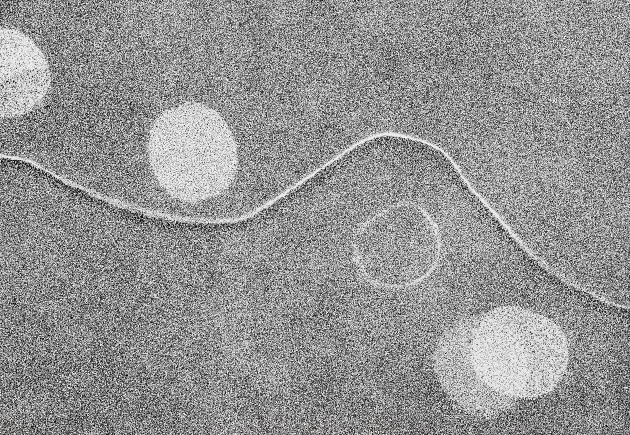 4. 26,6 x 18,5 cm.jpg