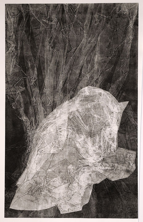 6. 2010 30,5 x 49 cm.jpg