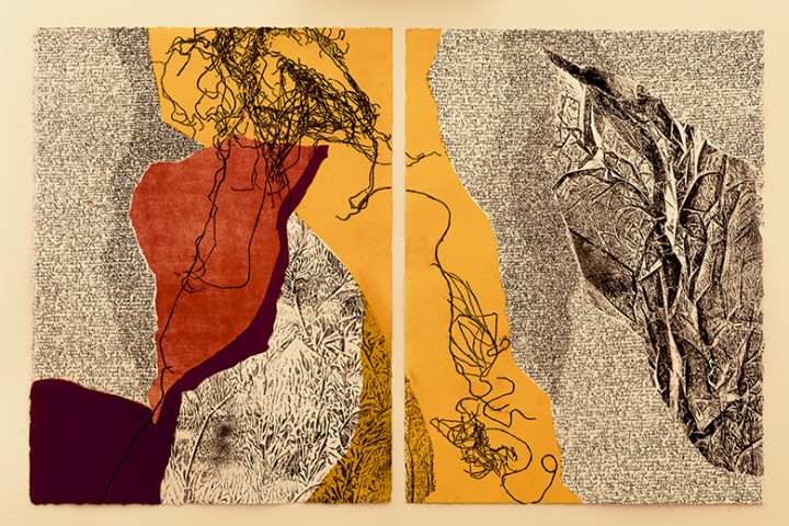 7. 2015 38 x 28 cm x 2.dyptique .jpg